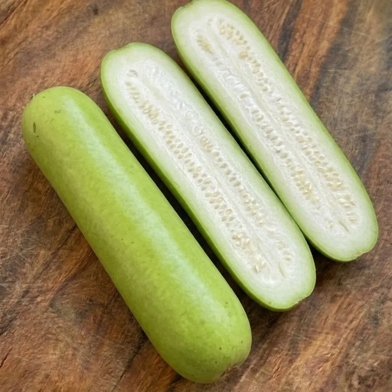 Bottle gourd (lauki / dudhi)