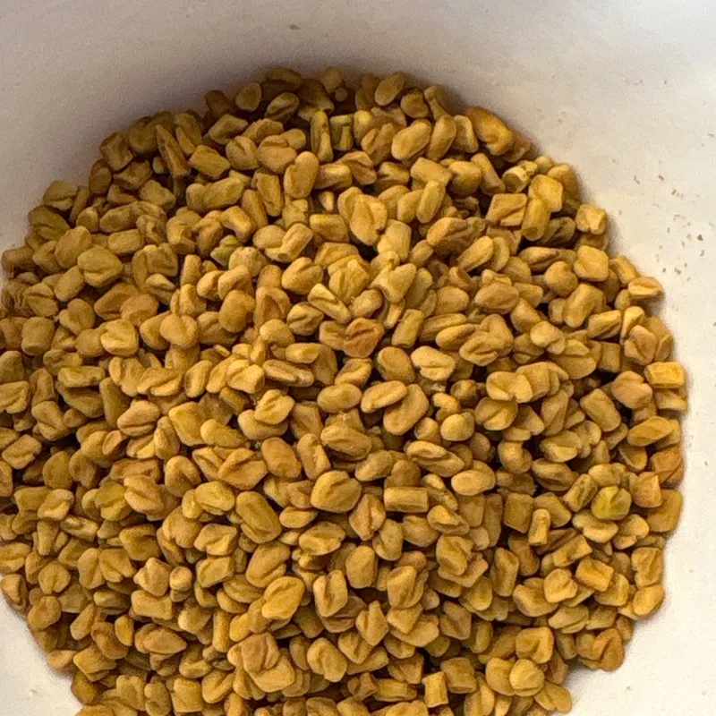 Fenugreek seeds (methi dana)
