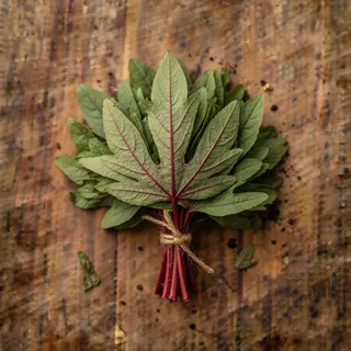 Gongura (roselle / sorrel leaves)