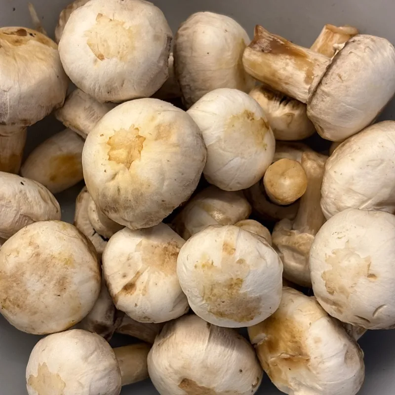 Button mushrooms